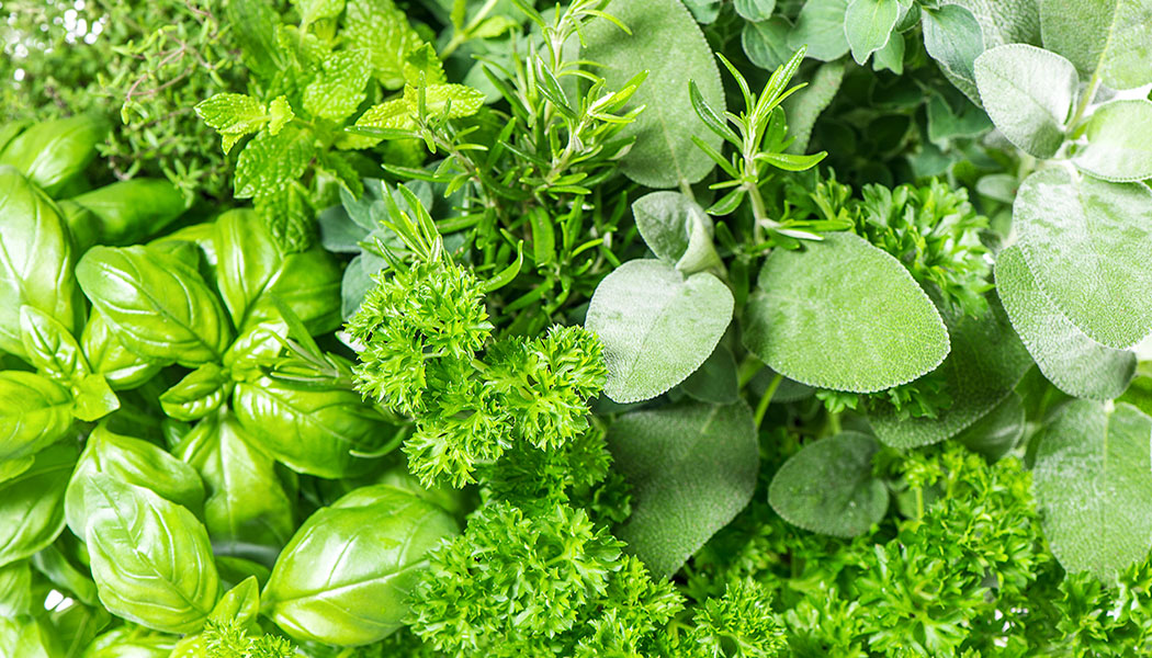 Health benefits of herbs