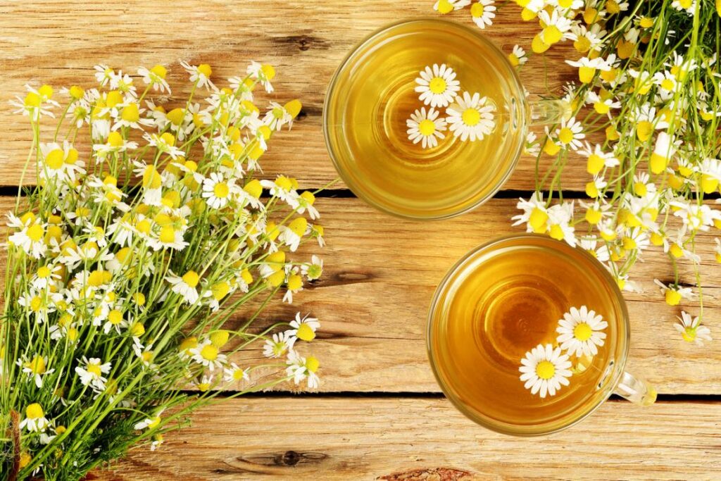 What Is Chamomile?